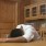 中野↑くん↓